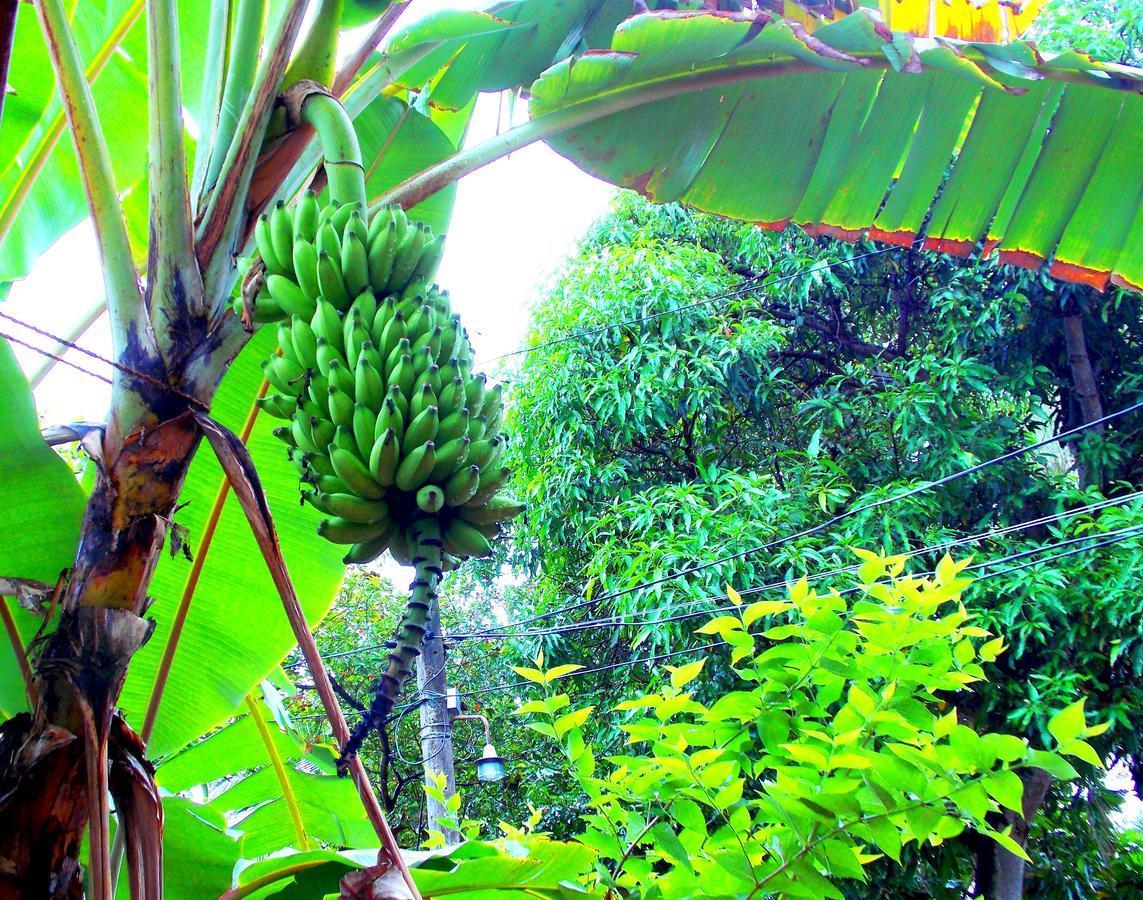 Chill Space Negombo Ngoại thất bức ảnh
