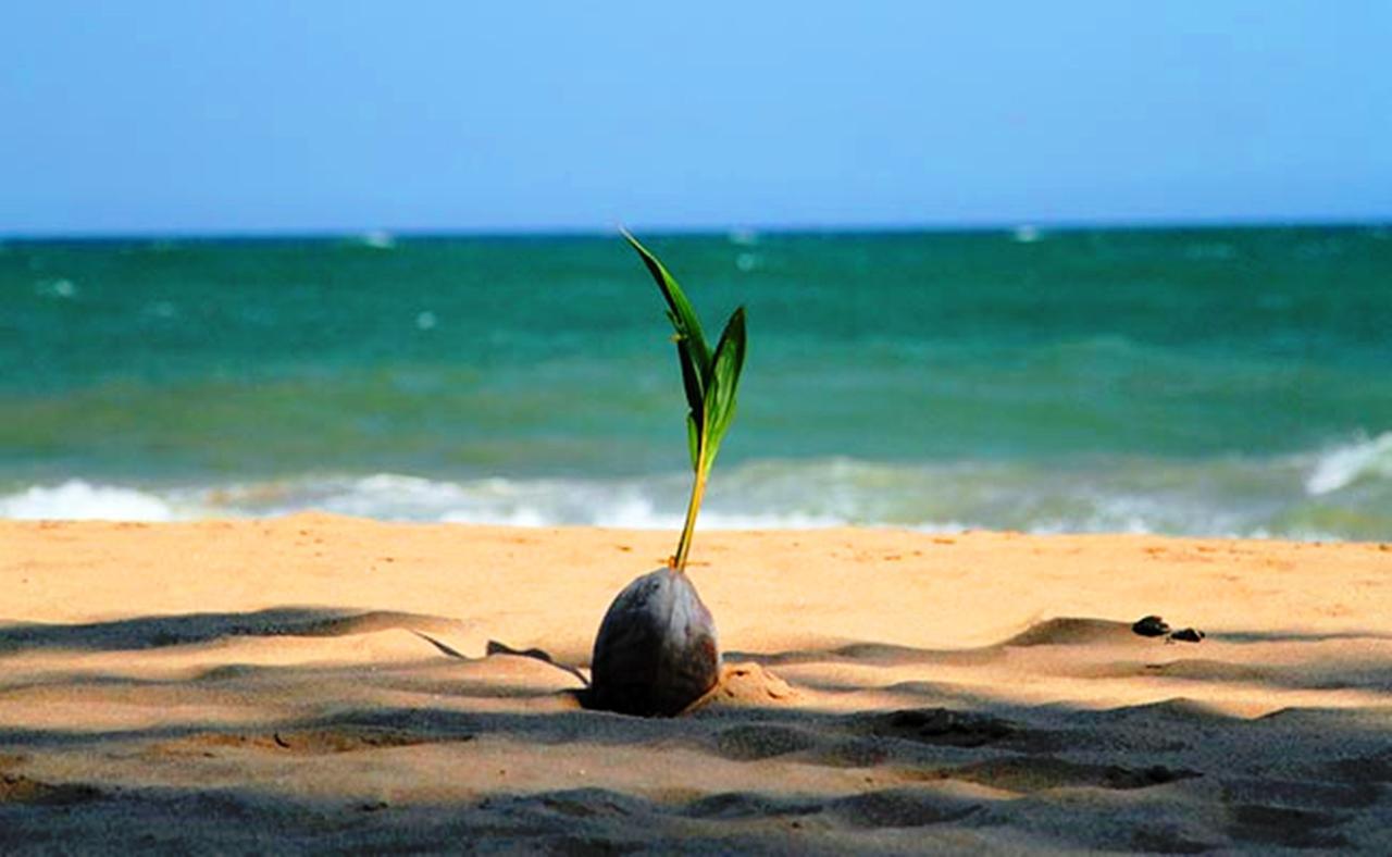 Chill Space Negombo Ngoại thất bức ảnh